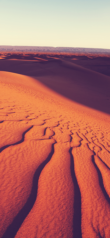 dunas